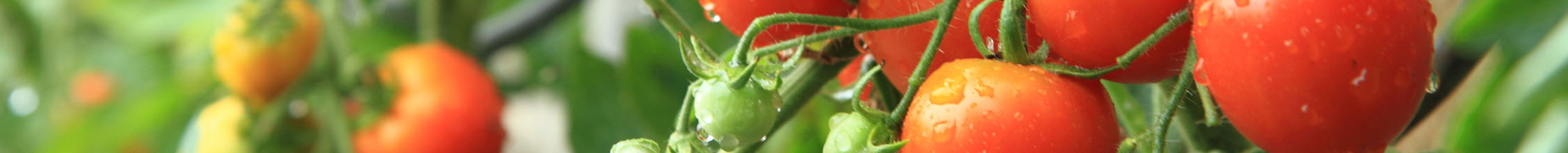 produce